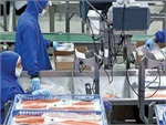 Fish Packing Centre
